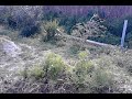 κοτετσι