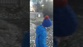 Gidelim Dinazoru Bulmaya