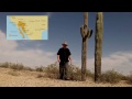 Beautiful Arizona - The Saguaro Cactus