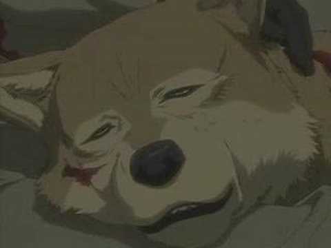 Run Wolf Warrior Run Wolf Warrior