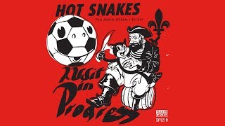 Watch Hot Snakes Audit In Progress video