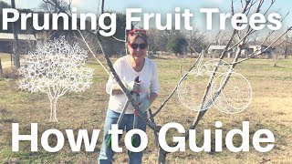 How to Prune Fruit Trees For Beginners! 🌳 🍎 🍐 🍑