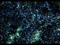 Bolshoi Simulation - Populating Halos with Galaxies