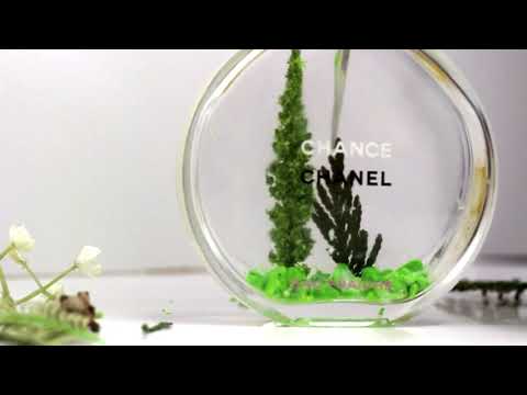 How to decorate  used perfume bottles ! DIY USED PERFUME - YouTube