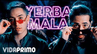 Andy Rivera Dalmata - Yerba Mala [Official Video]