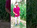 jao dilli mumbai agra nahi milega aisa ghagra |#shorts #comedy #funnymemes #funny #viral #fullmad