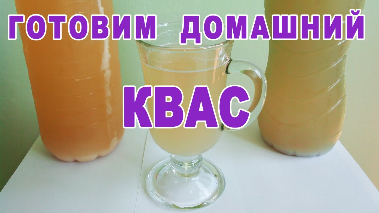 Рецепты приготовления кваса в домашних условиях из 254