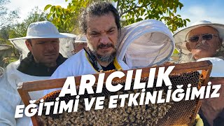 Arıcılık Eğitimi Ve Etkinliğimiz