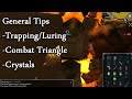 Fight Kiln Guide