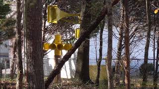 My Thunderbolt 1000 Weekly Emergency Siren Test, Attack Signal 12/4/18