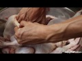 The Ultimate Thai Chicken Rice Recipe (วิธีทำข้าวมันไก่) & Street Food Documentary