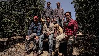 QUITAPENAS - Campesino (music video)