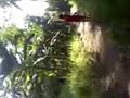 image Sma Hot Ml Di Kebun Nanas