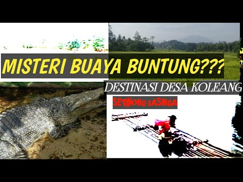 Setu Kadongdong Jasinga Bogor | Kp.Pamukulan dan Kp.silongong Desa Koleang kec. Jasinga Kab. Bogor