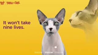 Ytp Meow Mix 2