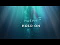 Hold On Video preview