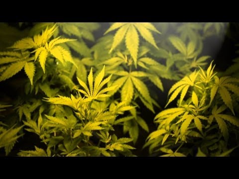 Ranker Video