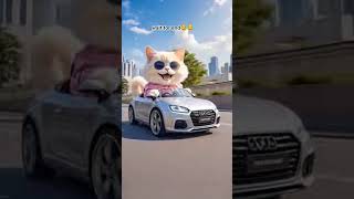 Katil Billa Killer Cat