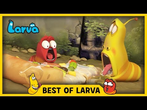 LARVA | BEST OF LARVA | Funny Cartoons for Kids | Cartoons For Children | LARVA 2017 WEEK 26