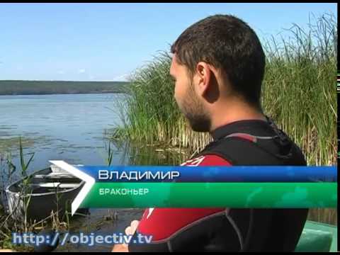 сезон ловли раков в ростовской области сезон ловли раков в ростовской области