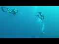 Humpback Whales on Protea Banks!!! Humpback Whales on Protea Banks!!!