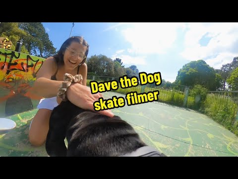 A skateboard filming dog, Dave Z Legend 🤙🏼