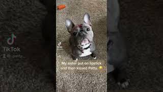 She Kissed The Dog With Lipstick On