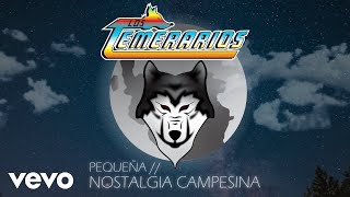 Watch Los Temerarios Nostalgia Campesina video