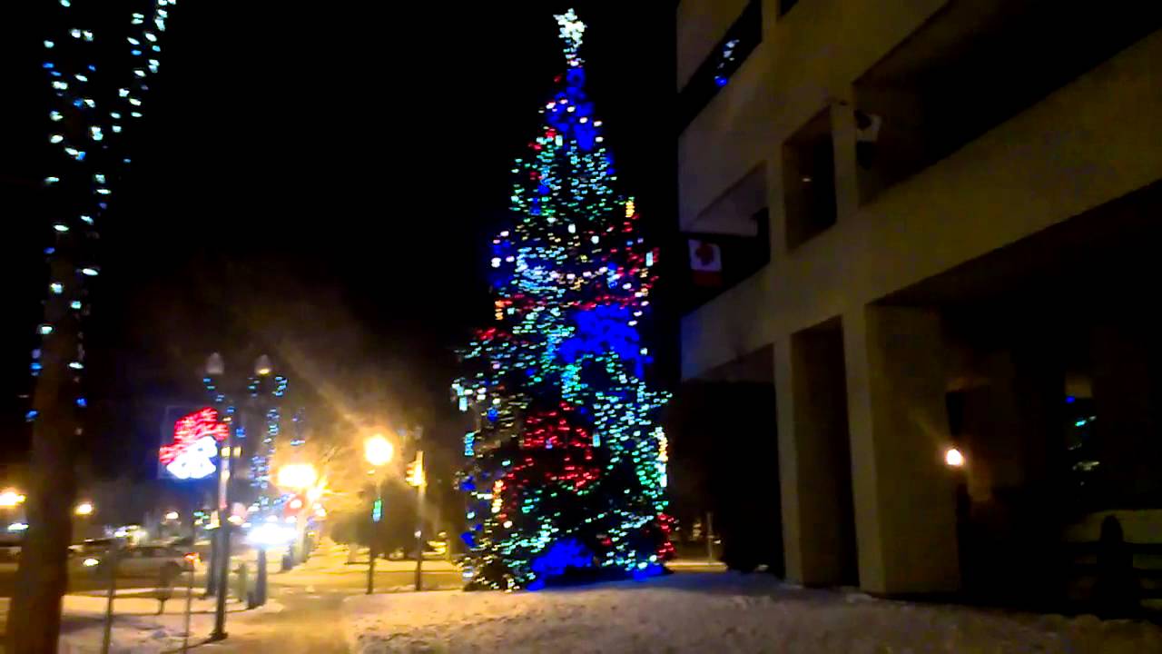 Christmas LED lights on Tree beside City Hall Red Deer AB YouTube