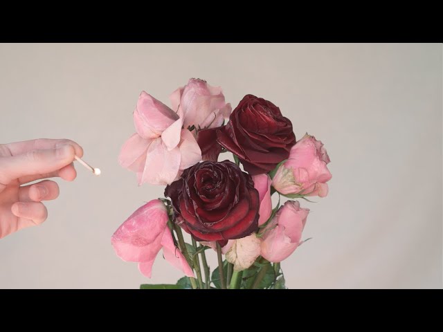 Toutes les vidéos