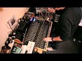 Bibio
