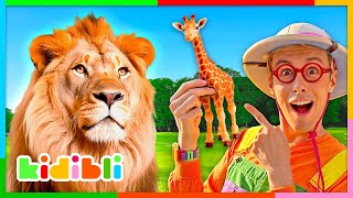 Let's Learn About Savanna Animals! | Educational Videos For Kids | Kidibli