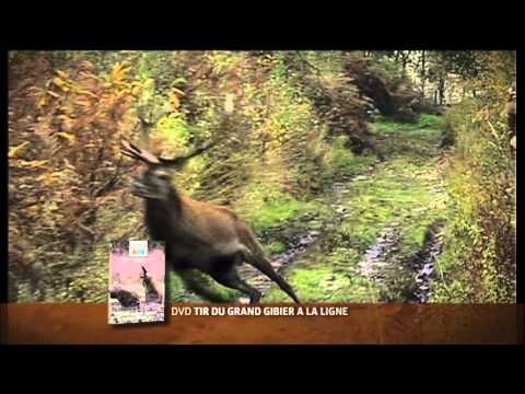 Jacht op groot wild