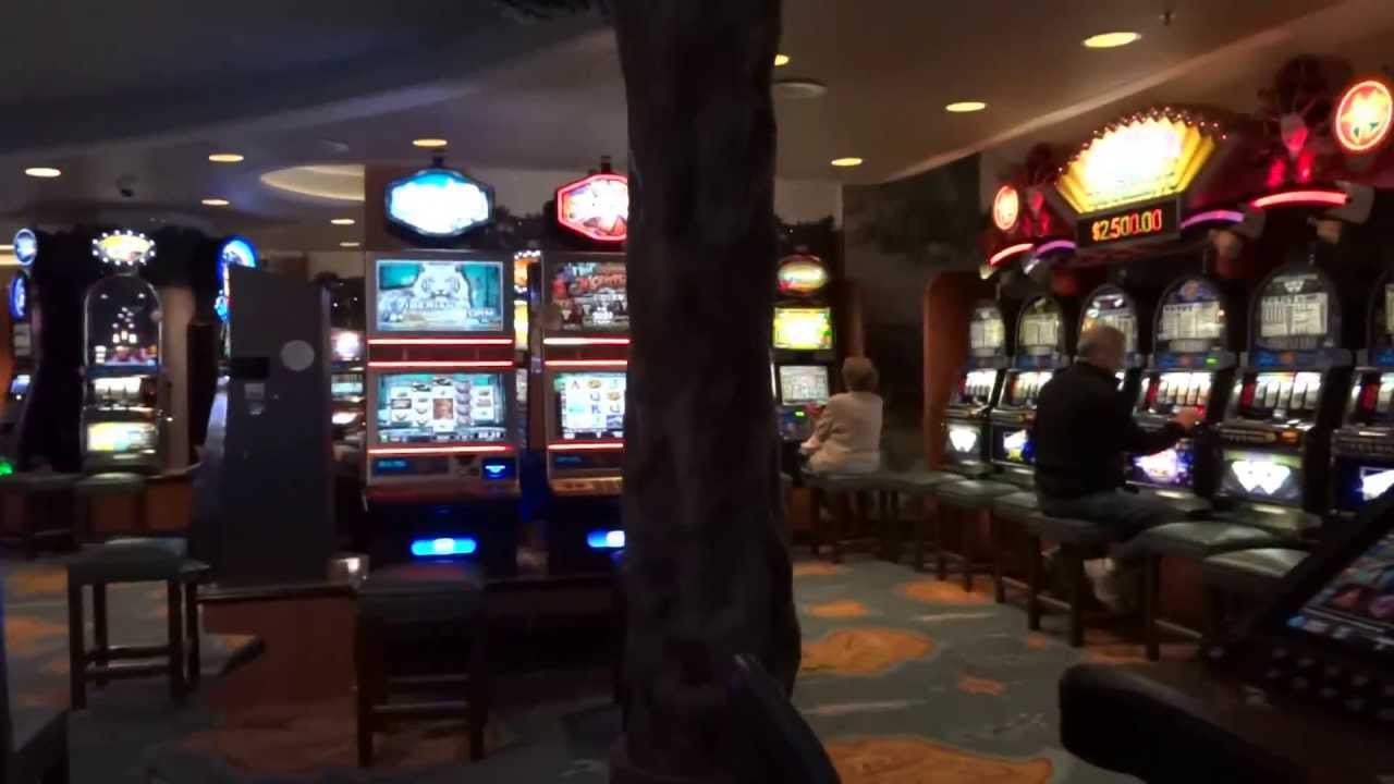 Vulkan casino cruise