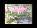 Lynn Anderson Rose Garden Lyrics Rose Garden Lynn Anderson