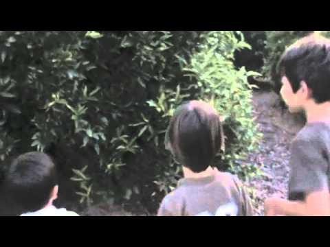 De donde vienen las frutas y verduras - YouTube De donde vienen las frutas y verduras - YouTube