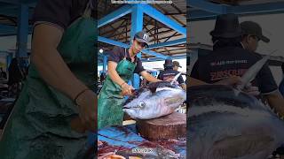 When The Poor Boy Processes Tuna Fish Fish
