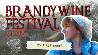 Vlog The Brandywine Festival Packing For And Attending My Very First Larp As A Hobbit