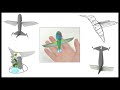DARPA Nano Air Vehicle (NAV) program