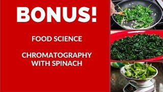Sup Kids Cooking Show Food Science Trinidad And Tobago