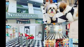 Heads Up for Tails (HUFT) Panampilly Nagar, Kochi | Bingo's Pet Spa Visit and Wa