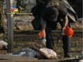 MASACRE EN FINCA LOS COCOS, LA LIBERTAD, PETEN.