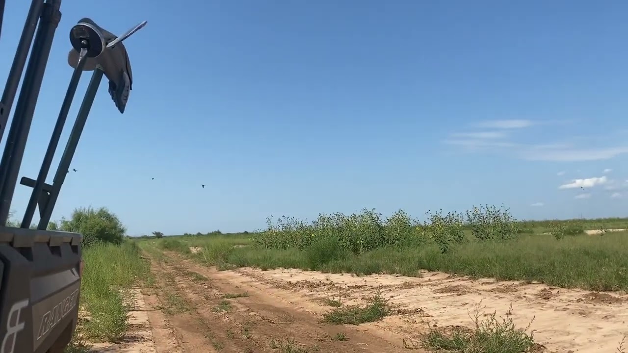 Dove Season 2022