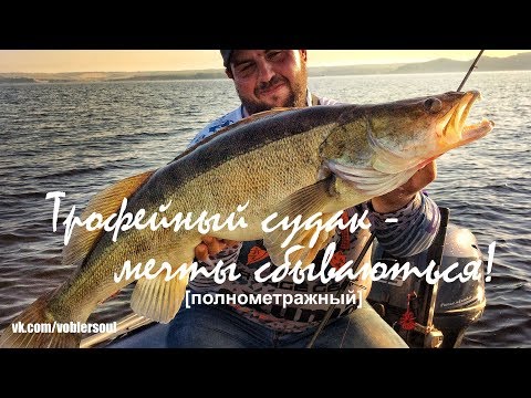 чем поймать и как судака видео чем поймать и как судака видео