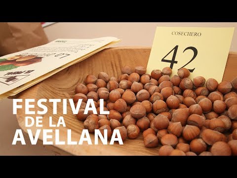 vidéo sur le festival Infiesto aux noisettes