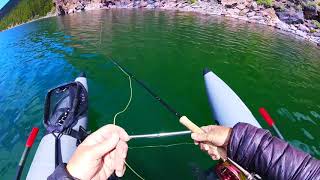 Dave Scadden's Detonator Lo Pro X of Beetles, Big Bows and Browns