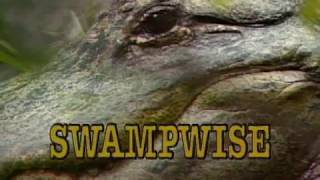 Download lagu Swampwise | GPB Documentaries