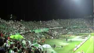 NuwrDptUSCA Video Image