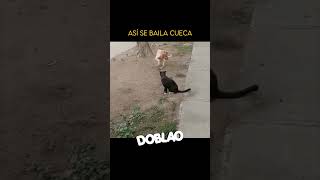 Así Se Baila La Cueca