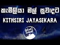 Kameliya Mal Suwadata - (කැමීලියා මල් සුවඳට) - Kithsiri Jayasekara [lyrics video]